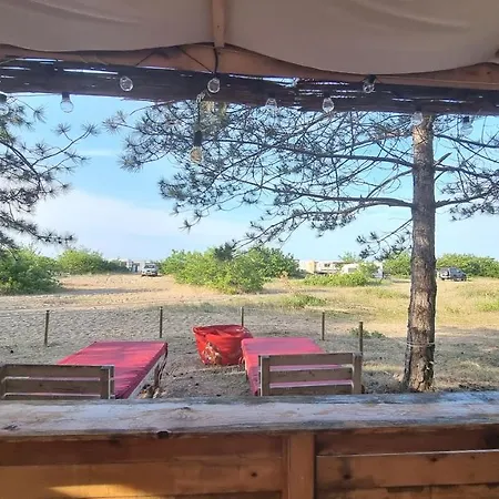 Zama Caravan *