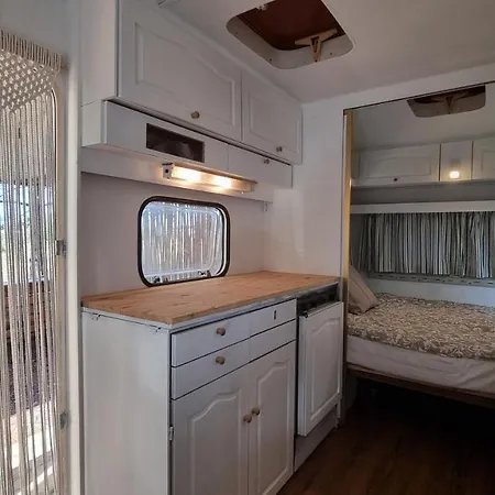 Zama Caravan * سوزوبول